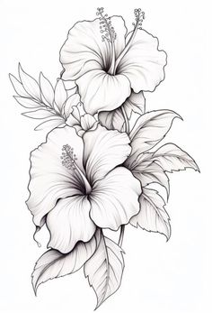 Flower Sketch Realistic, Nature Art Drawings Creative, Nature Flowers Drawing, Leaves Drawing Sketches, How To Draw Hibiscus Flower, Habisquis Flower, Flower And Leaves Tattoo, Exotic Flowers Drawing, Hibiscus Flower Sketch