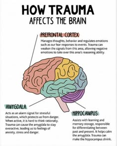 Cognitive Approach Psychology, Psychology Diagrams, Learning Psychology, Clinical Social Work, Basic Anatomy And Physiology