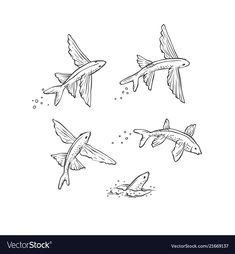 Fish Jumping Drawing, Swimming Fish Drawing, Jumping Fish Illustration, Jumping Fish Drawing, Flying Fish Tattoo Design, Freshwater Fish Tattoo, Fly Fish Tattoo, Fish Swimming Tattoo, School Of Fish Tattoo