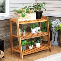 a wooden shelf filled with potted plants