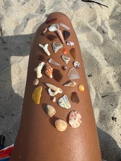 a woman's leg covered in sea shells and seashells on the beach