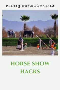 the horse show hacks are in front of palm trees