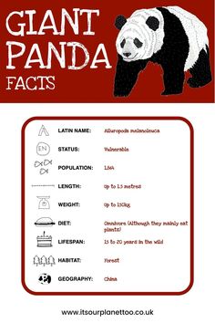 the giant panda fact sheet is shown in red and white, with black writing on it