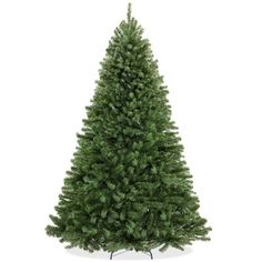 a small christmas tree next to three smaller evergreen trees on a white background with clippings