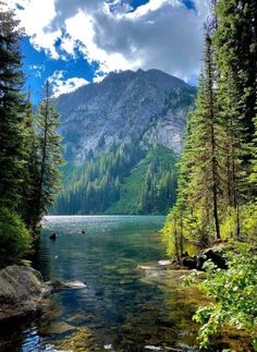 a river surrounded by trees and mountains under a cloudy sky