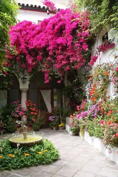 an outdoor garden with lots of colorful flowers