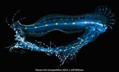 a blue sea creature with yellow dots on it's body