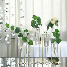 four vases with plants in them on a table next to a white table cloth