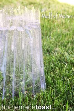 plastic cups filled with water sitting in the grass