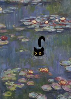 a black cat floating on top of water lilies