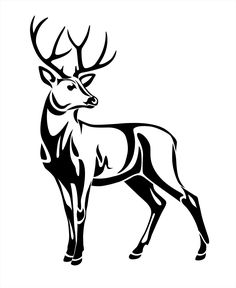 a black and white drawing of a deer