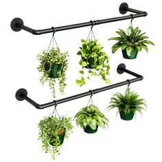 four hanging potted plants on a black metal rack with two green planters attached to it