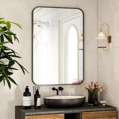 a bathroom with a sink, mirror and plants on the counter top in front of it