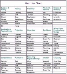 Herb Correspondences, Herb Uses, Herbal Witch, Witchcraft Herbs, Magickal Herbs, Witch Herbs, Magia Das Ervas, Medical Herbs, Witch Spirituality