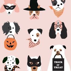 dogs wearing halloween costumes and masks for trick or treat on a pink background with the words trick or treat written below