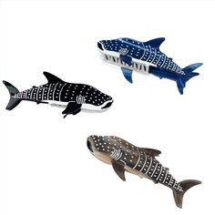 three different types of fish on a white background