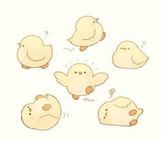 some cute little chicks with different expressions on their faces and chests, all in various positions