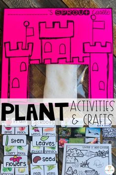 a plant activities and crafts for kids