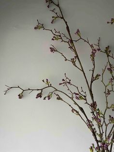 a vase filled with purple flowers sitting on top of a table next to a white wall