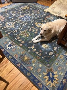 a large dog laying on top of a blue rug