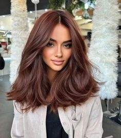 Explore 2024 Soft Haircut Trends for Women - Style, Layers, Bangs & More Dark Fall Hair, Chestnut Hair, Chestnut Hair Color, Brown Hair Inspo