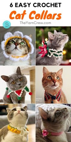 six easy crochet cat collars with pictures of different cats wearing christmas decorations