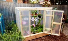 a small greenhouse with plants growing inside