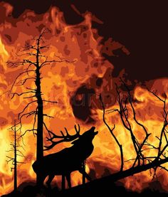 the silhouette of a deer stands in front of a blazing forest with tall, dead trees