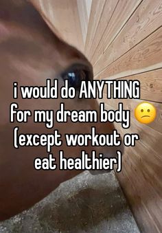 a horse with the caption i would do anything for my dream body except workout or eat healthier