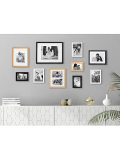 a living room wall with many pictures on the wall and a plant in front of it