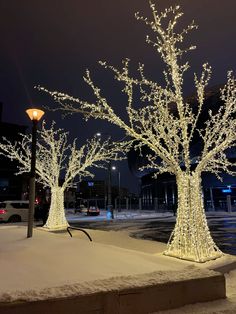 two lighted trees in the middle of a snow covered park at night with street lights