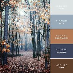 the color palette is brown, blue, and grey with trees in the woods behind it