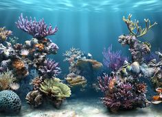 a mermaid with blue hair is swimming in the ocean surrounded by corals and seaweed