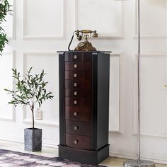 a tall wooden cabinet sitting next to a potted plant on top of a rug