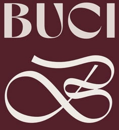 the logo for buck and sons, which has been designed to resemble an infinite knot