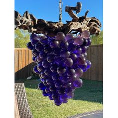 a bunch of grapes hanging from a wooden chandelier in a backyard with blue sky