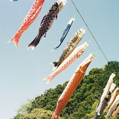 several fish shaped kites hanging in the air