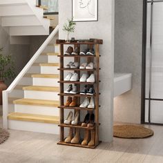 there is a shoe rack on the wall next to stairs and a potted plant