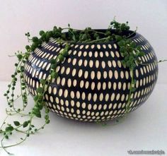 a black and white vase with green plants in it