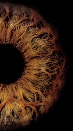 an extreme close up view of the iris of a human eye