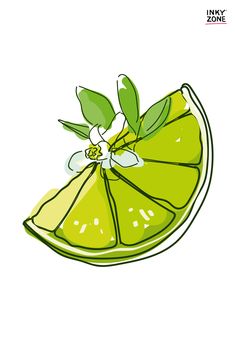 A slice of lime with a flower, with grains of salt - for mojito - digital art Lemon Water Aesthetic, Freeze Lemons, Lemon Drinks, Lemon Cleanse, Lemon Cookie, Lemon Bar, Drawing Software, Lemon Art, Lemon Drink