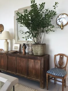 there is a potted plant on top of a wooden cabinet in the living room