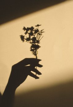 a person holding a flower in their hand