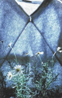 some daisies are growing out of the ground in front of a gray sweatshirt with white flowers on it