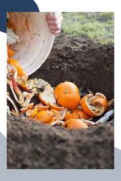 someone is digging in the dirt with oranges