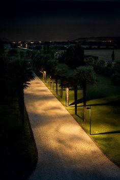 a walkway lit up with lights in the dark at night, surrounded by palm trees