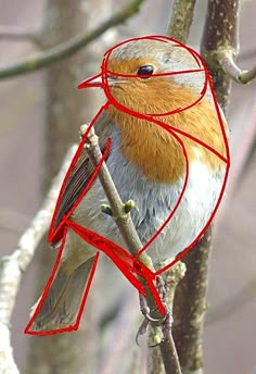 a bird sitting on top of a tree branch with a red wire around it's neck