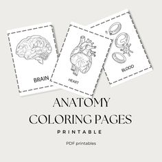 Homeschool Anatomy Coloring pages are great for visual reference for kids who are learning anatomy in health and science.  14 page printable PDF download includes the following pages  Brain Spleen Large intestines  Small intestines  Skin Nerve Cells Artery Liver Bladder Gallbladder Kidney Heart  Blood Cells Stomach Homeschool Anatomy, Anatomy Coloring Pages, Learning Anatomy, Floral Anatomy, Anatomy Coloring, Blood Heart, Anatomy Coloring Book, Nerve Cells, Brain Anatomy