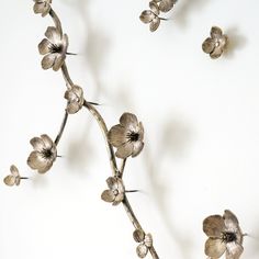 a branch with some flowers on it against a white wall and the background is plain