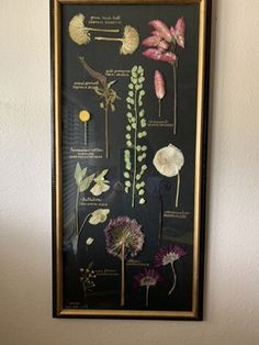 a framed flower display on the wall